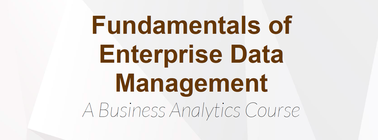 Fundamentals of Enterprise Data Management: A Business Analytics Course